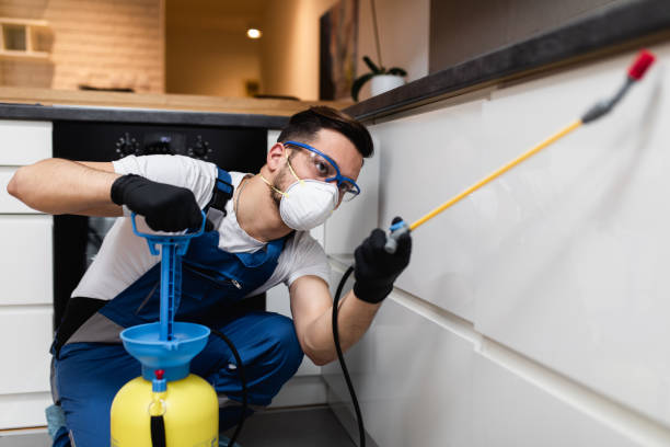 Best Pest Control Near Me in Harbor Beach, MI