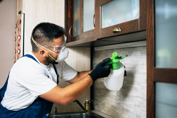 Pest Prevention Services in Harbor Beach, MI
