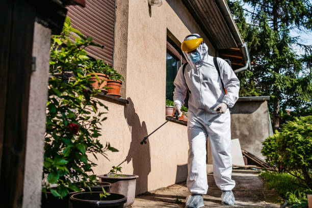 Best Flea Control Services  in Harbor Beach, MI