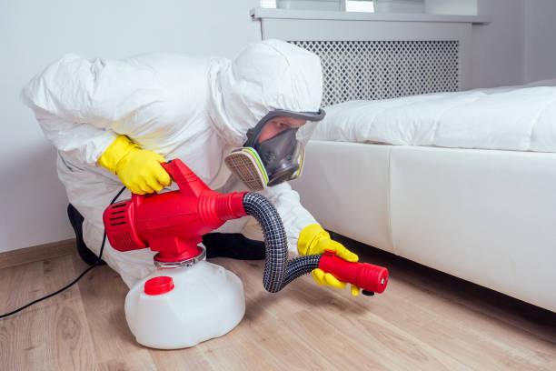 Best Ant Control Services  in Harbor Beach, MI