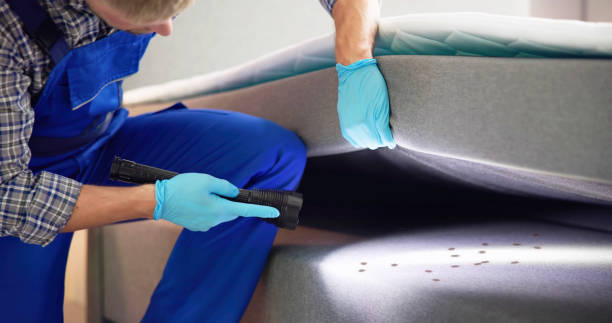 Best Best Pest Control Companies  in Harbor Beach, MI
