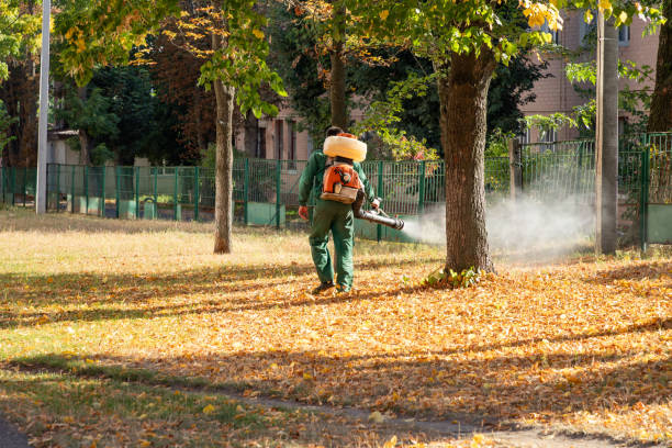 Best Mosquito Control Services  in Harbor Beach, MI