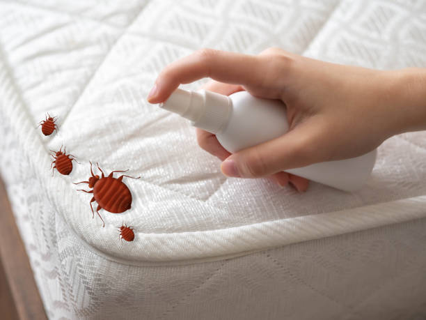 Best Insect Control  in Harbor Beach, MI