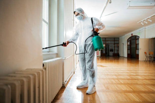 Best Affordable Pest Control Services  in Harbor Beach, MI