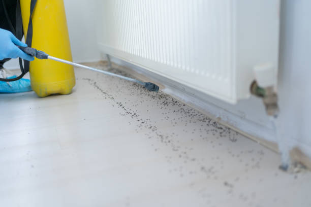 Reliable Harbor Beach, MI Pest Control Solutions