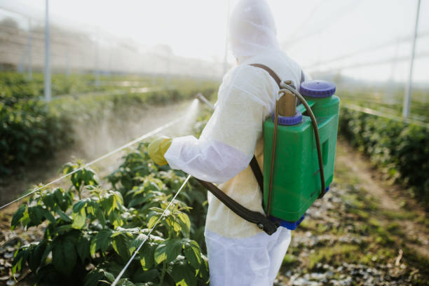 Best Emergency Pest Control  in Harbor Beach, MI